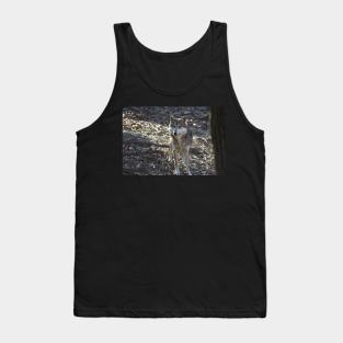 Grey Wolf Tank Top